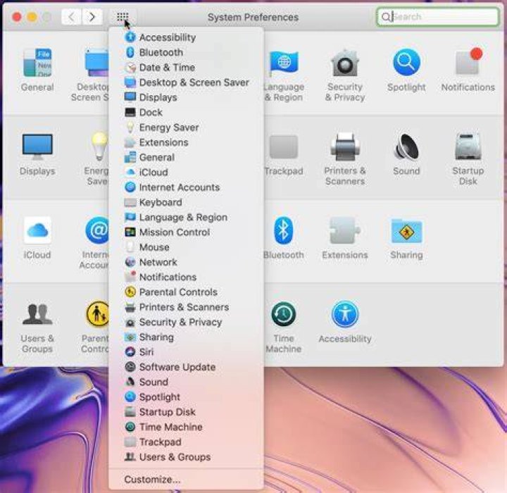 Apple System Preferences