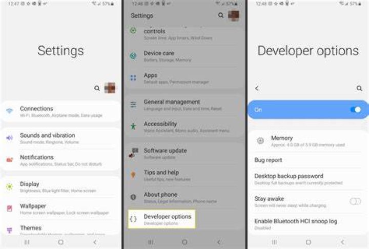 Developer Options