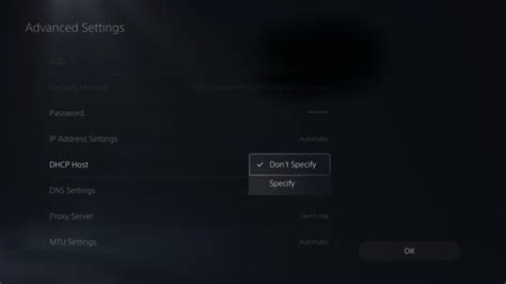 DhcP Host PS5 Settings