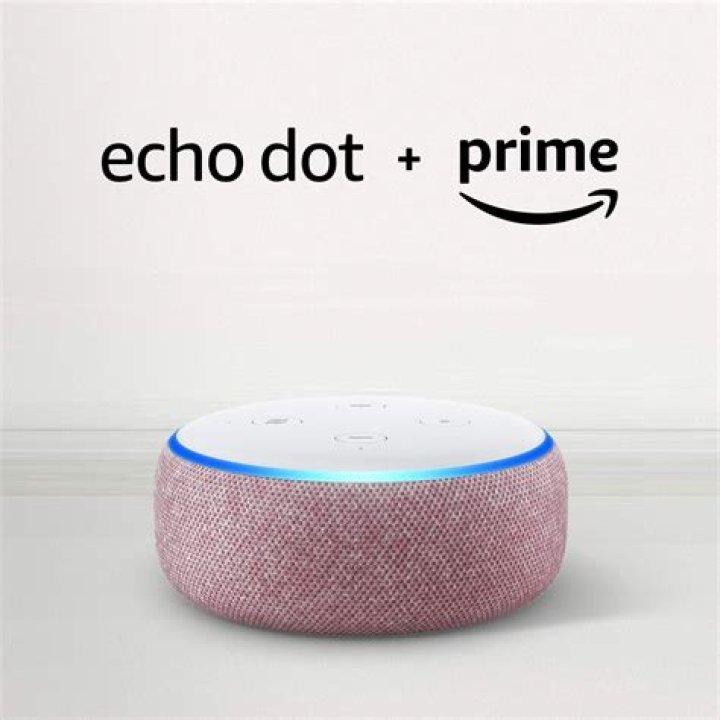 Echo Dot Plum official render