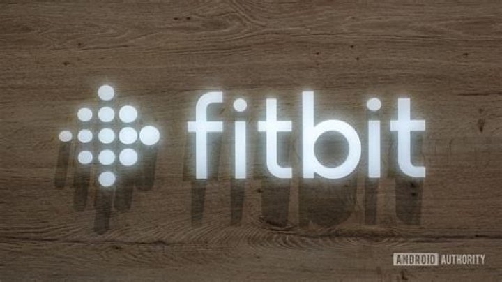 Fitbit Logo Official Render
