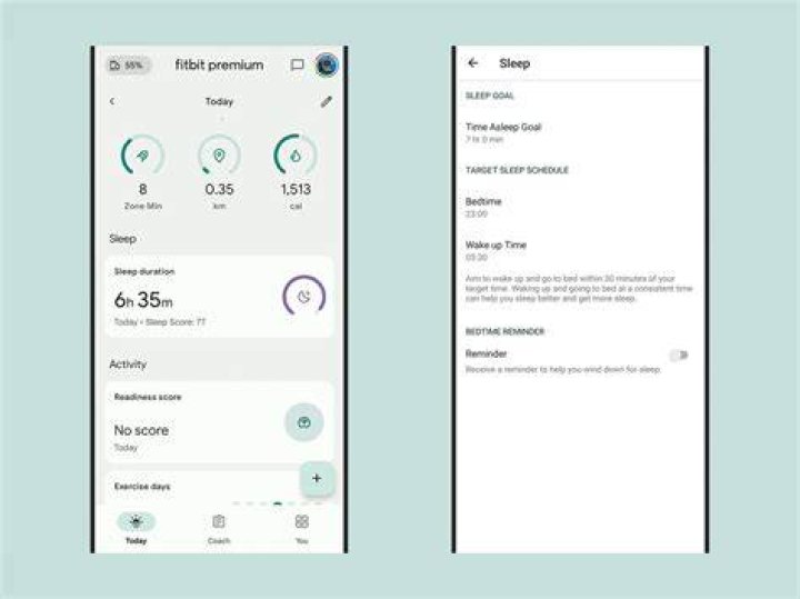 Fitbit Sleep Watchsummary