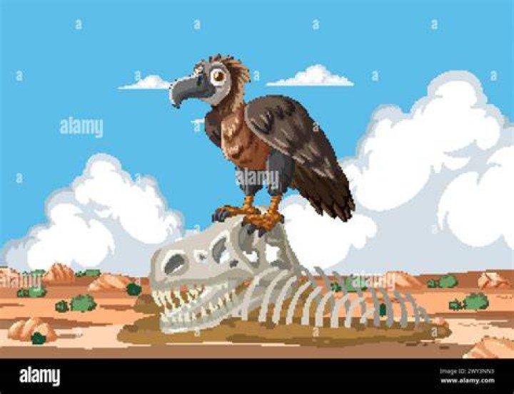 Funacho - Vulture