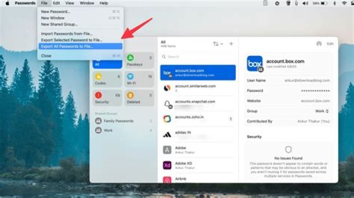 iCloud Export Passwords