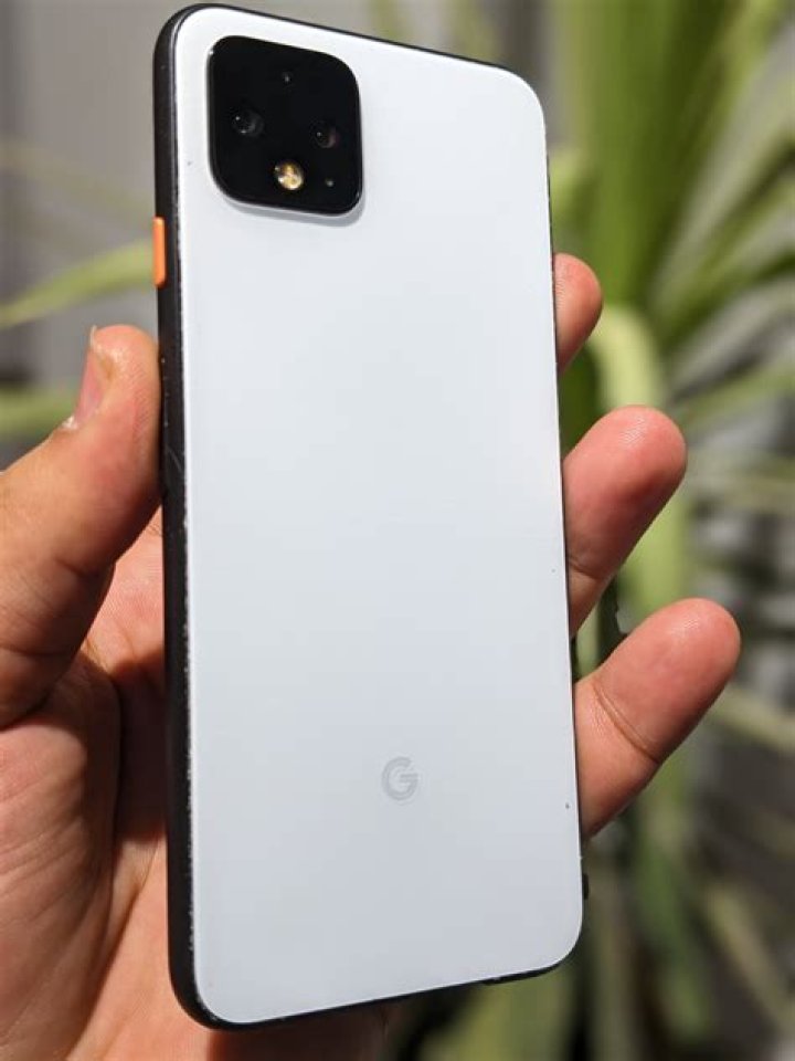 Pixel 4 white balance sample image