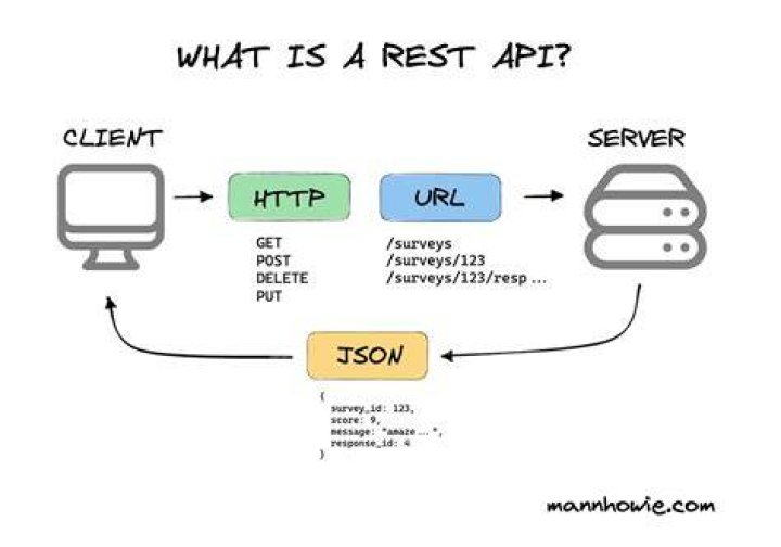 Understanding Website Ranking API: A Comprehensive Guide