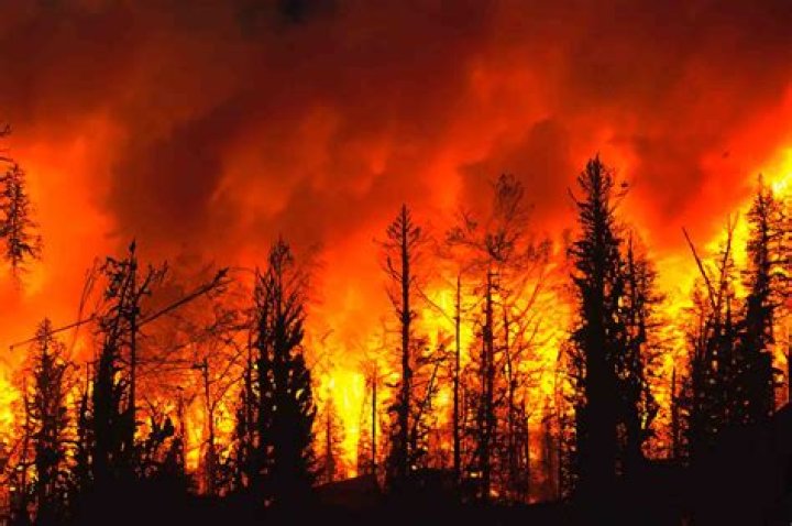 Wildfire S